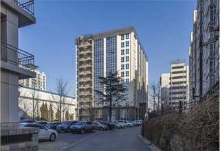 杨浦区肌肉柴犬